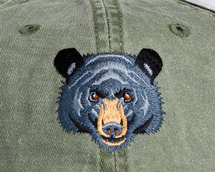 A close up of the bear 's face on a hat