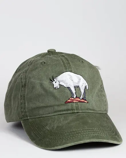 A green hat with an animal on it.