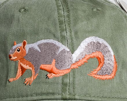 A squirrel is embroidered on the back of an olive green hat.