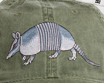 A close up of an animal on the side of a hat