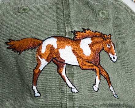 A brown and white horse is embroidered on the back of a green jacket.
