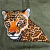 A close up of the face and head of a leopard