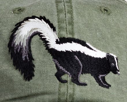 A close up of the tail end of a skunk