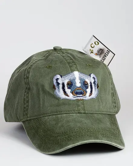 A green hat with a dollar bill sticking out of it.