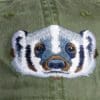 A close up of the face of a bear