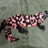 A pink and black lizard is on the army green jacket.