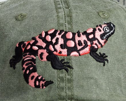 A pink and black lizard is on the army green jacket.