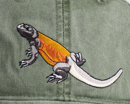 A lizard is embroidered on the side of a hat.