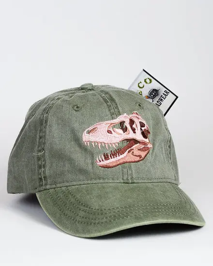 A green hat with a dinosaur head on it