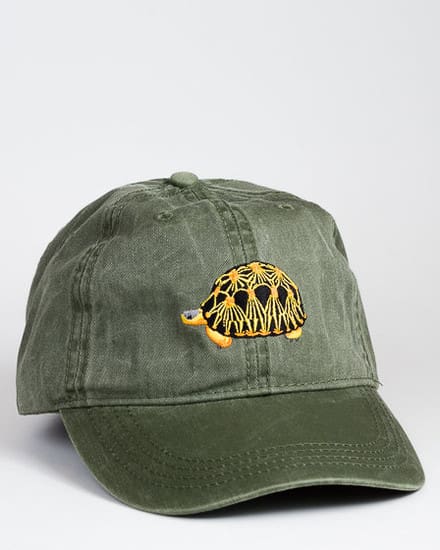 Turtle & Tortoise Caps Archives - ECO Wear & Publishing, Inc.