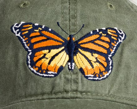 A close up of the back side of a hat with a butterfly on it