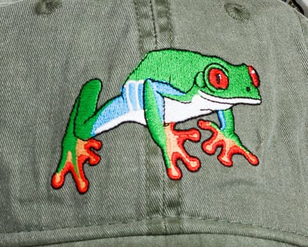 A close up of the frog on a hat