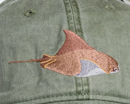 A brown and white fish is on the hat