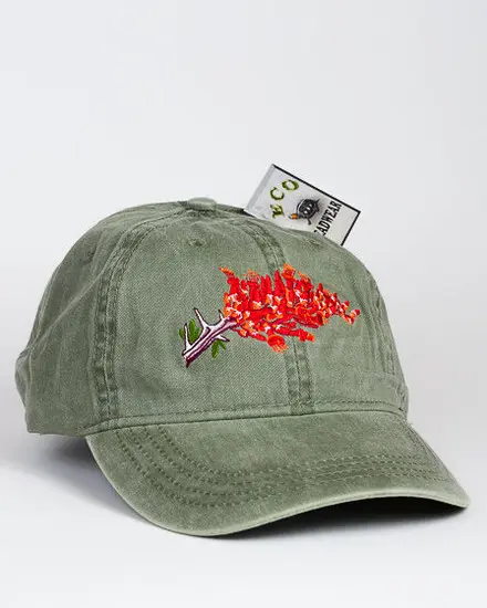 A green Ocotillo Cap with a red flower embroidered on it.