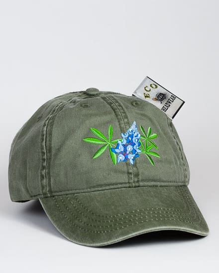 Amargosa Pupfish Cap - ECO Wear & Publishing, Inc.