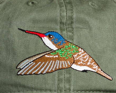 A close up of the bird on the hat