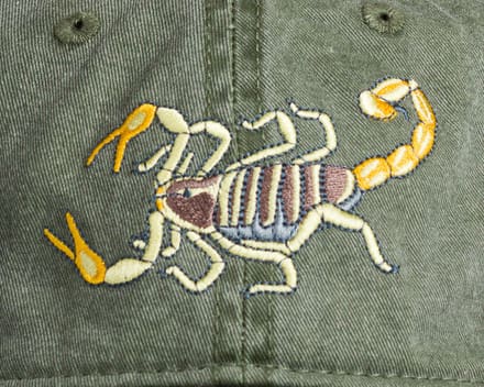 A close up of the scorpion on a hat