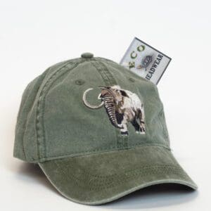 A green hat with an elephant on it
