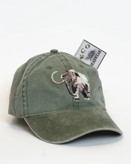 A green hat with an elephant on it