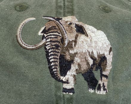 A close up of an elephant on the side of a hat