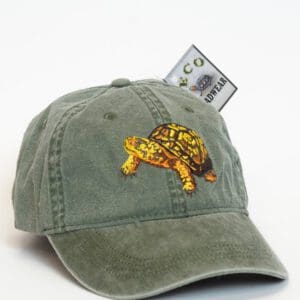 A North American Box Turtle Cap.