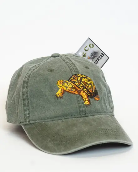 A North American Box Turtle Cap.