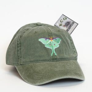 A green hat with an image of a butterfly on it.