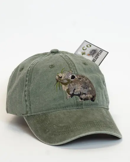 A green hat with an elephant on it