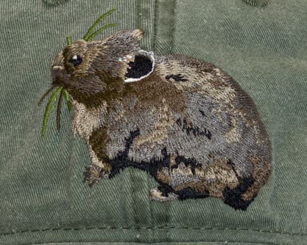 A rabbit with long hair and a green patch on its face.