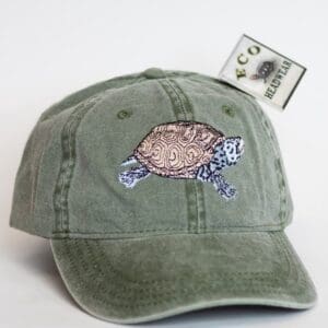 A Diamondback Terrapin Cap with a turtle embroidered on it.