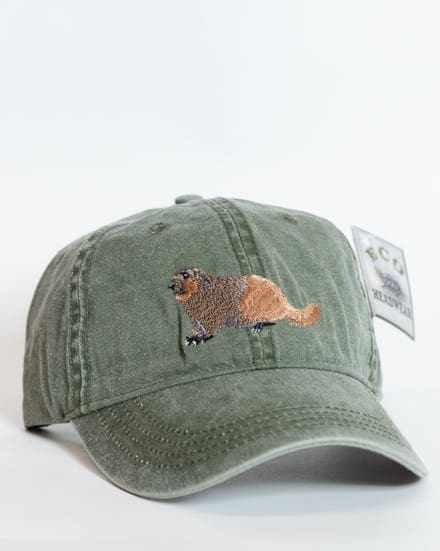 A hat with an image of a bird on it.