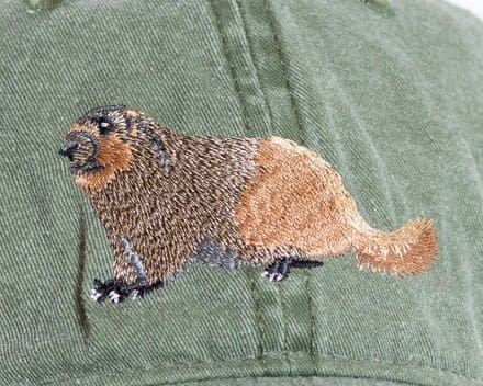 A dog embroidered on the side of a hat.