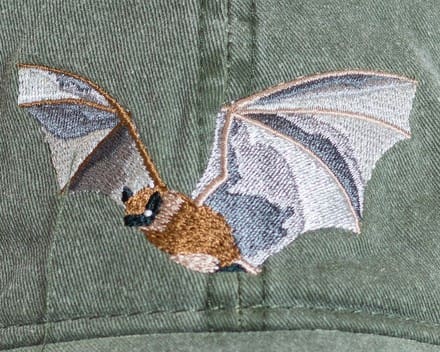 A close up of an embroidered bat on the back of a hat