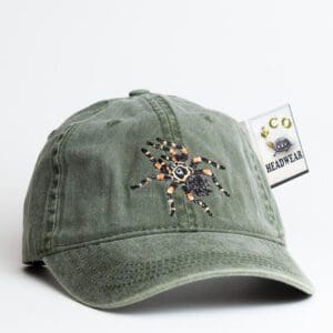 A green hat with a star on it