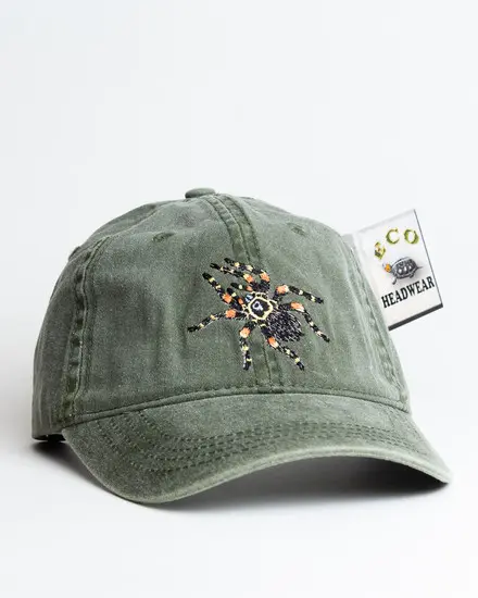 A green hat with a star on it