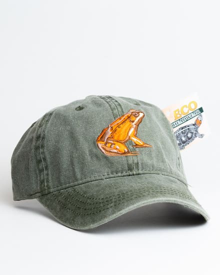 A green hat with an orange fish on it.