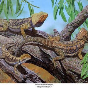 A painting of lizards on a tree branch