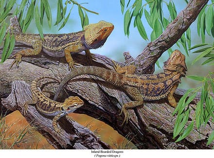 A painting of lizards on a tree branch