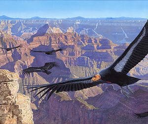 A painting of birds flying over the grand canyon