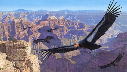 A painting of birds flying over the grand canyon