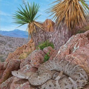 A painting of a desert plant and rocks