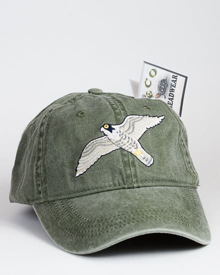 A green hat with a bird on it