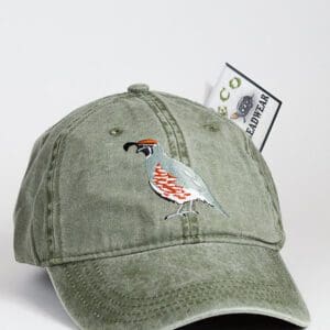 A hat with a bird on it and some money