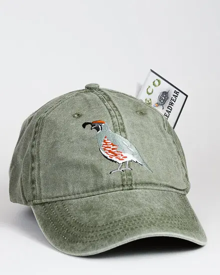 A hat with a bird on it and some money