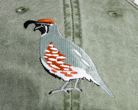 A close up of the bird on the hat