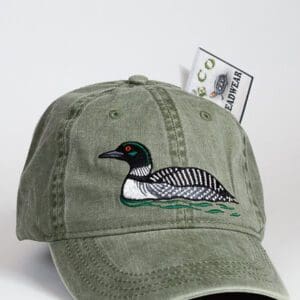 A hat with a duck on it and money in the background.