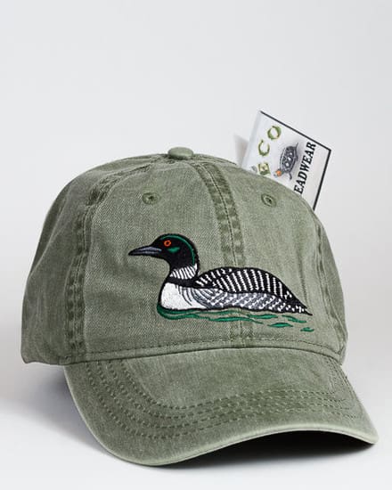 A hat with a duck on it and money in the background.