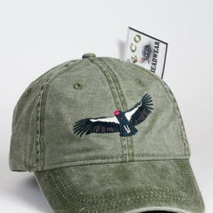A hat with an eagle on it is shown.