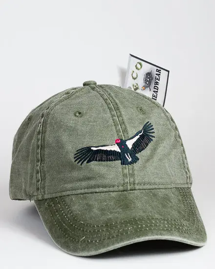 A hat with an eagle on it is shown.