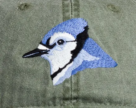 A close up of the bird 's face on a hat